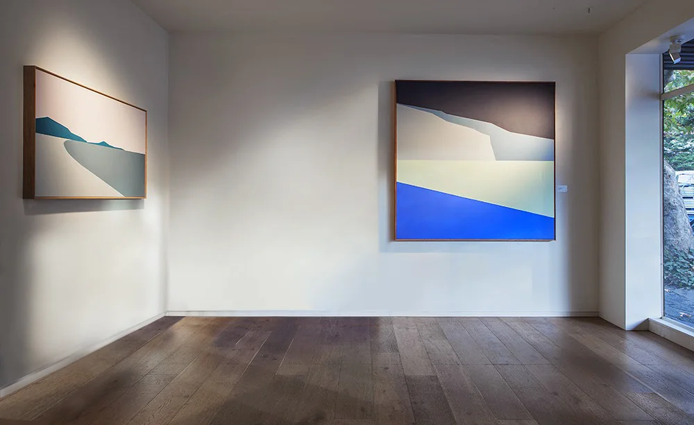 Transaesthetic Landscapes. 2015. Installation View. Intervention courtesy of M Contemporary