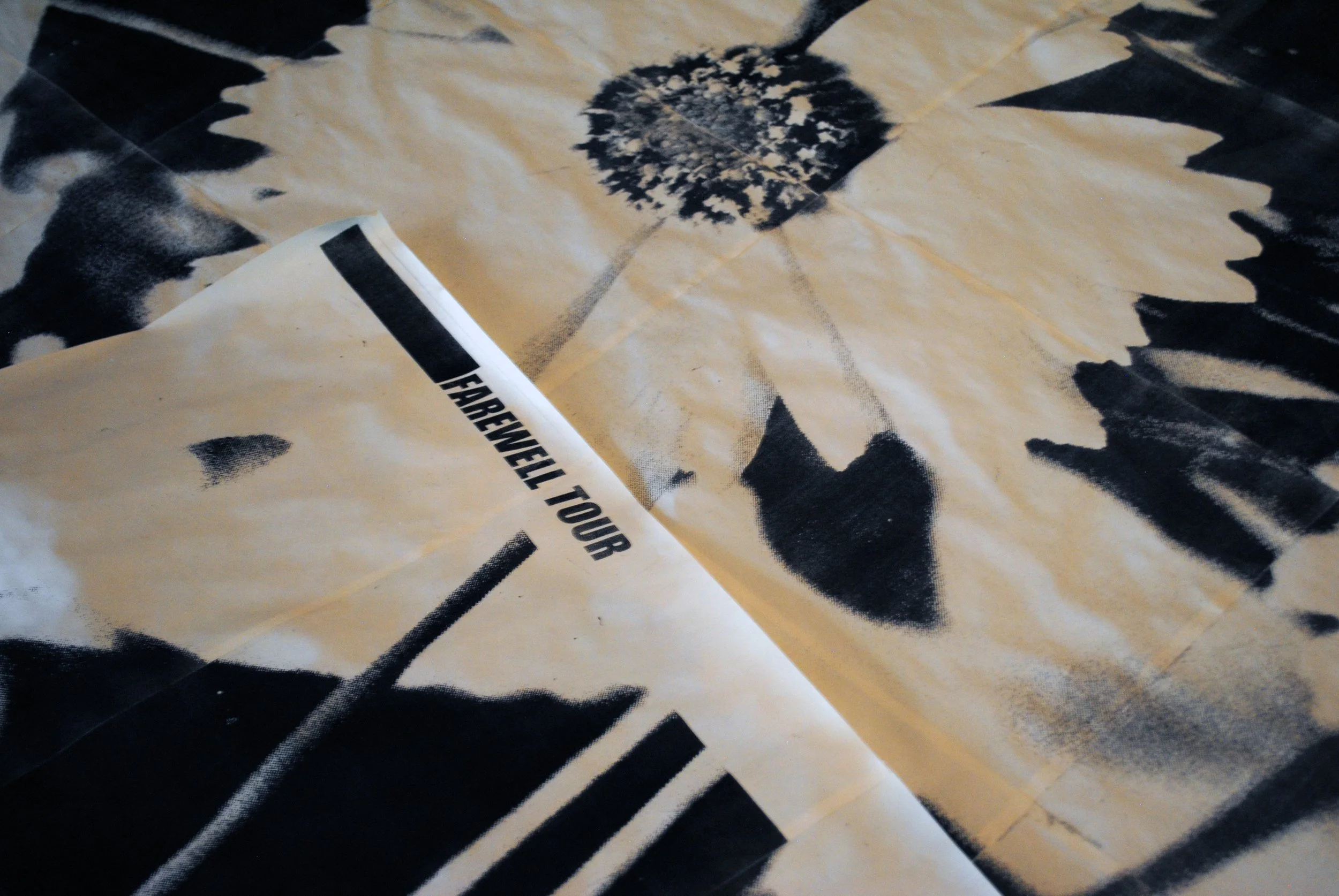 PHOENIX 20A POSTER0012.jpg