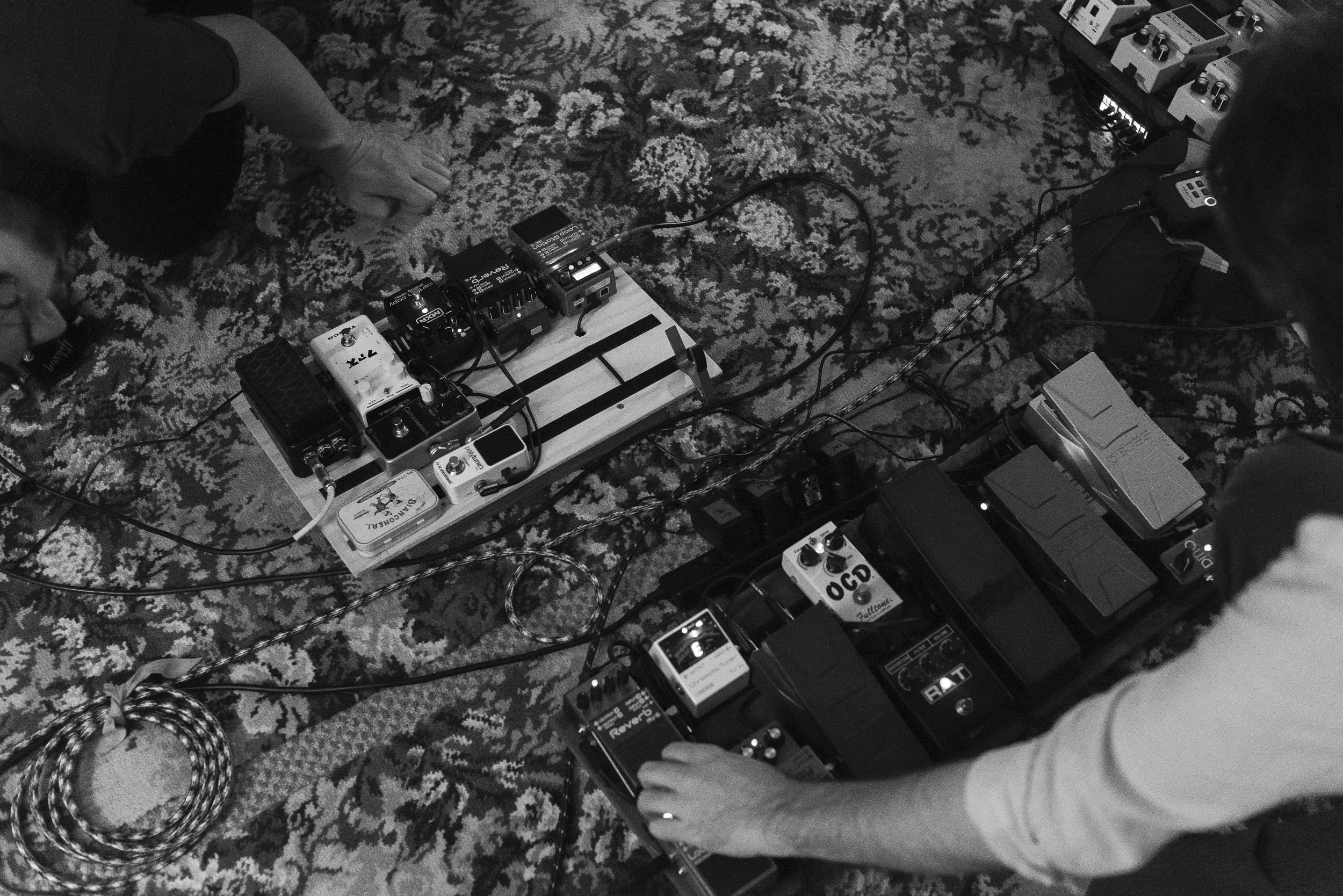 Oh Petal_06.09.24_WEB-5990.jpg