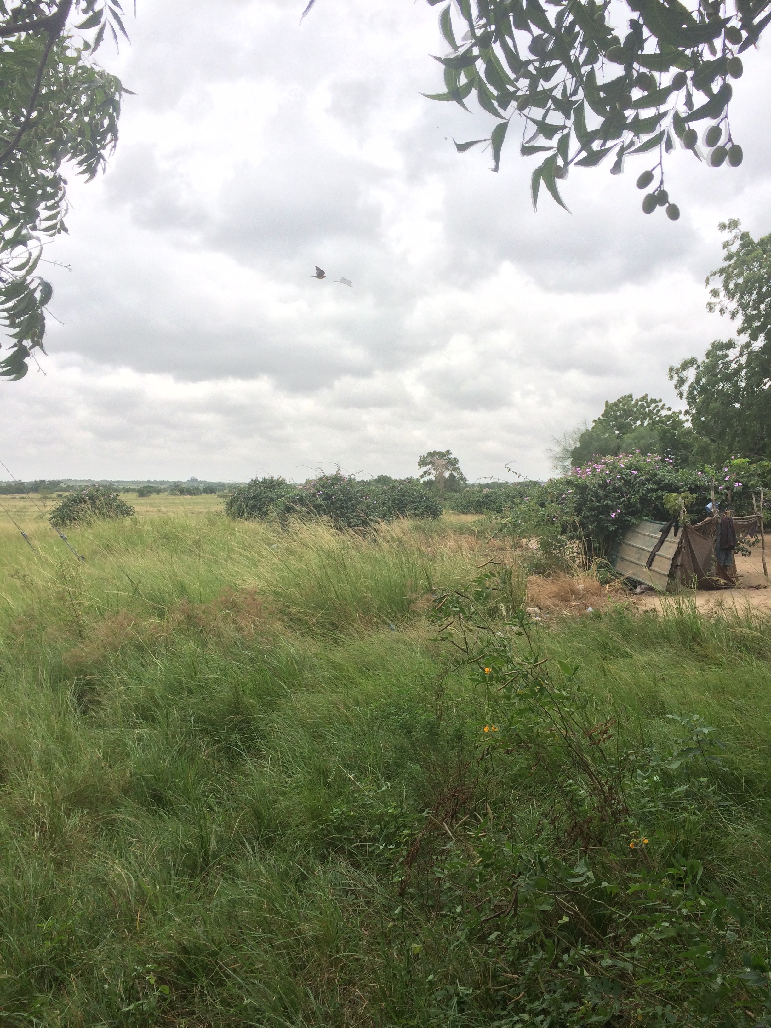 IMG_0023.jpeg