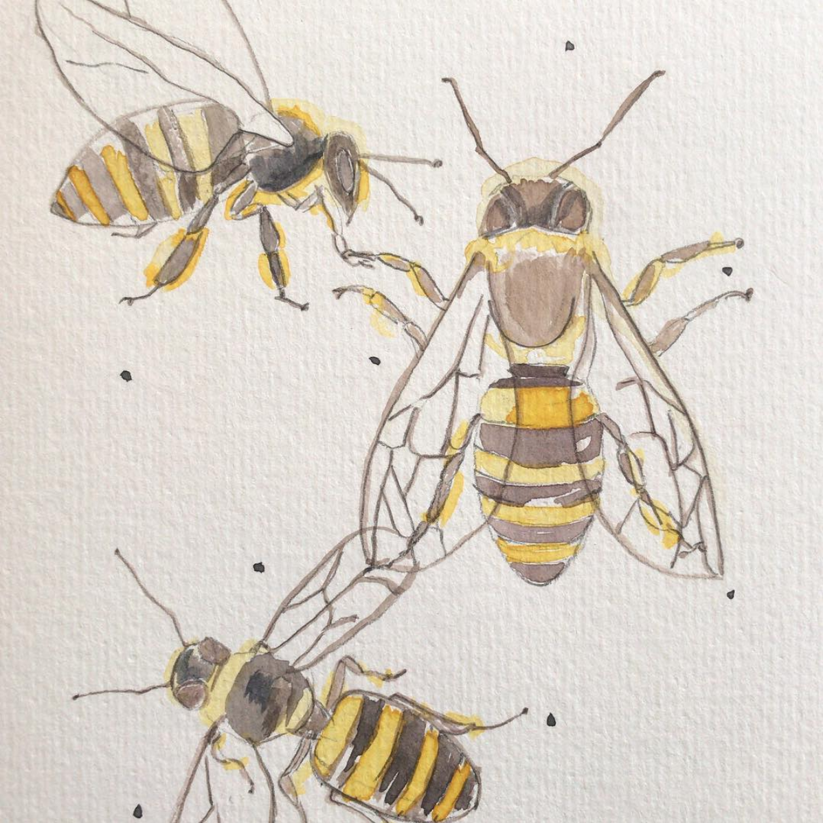 Making honey. π―π