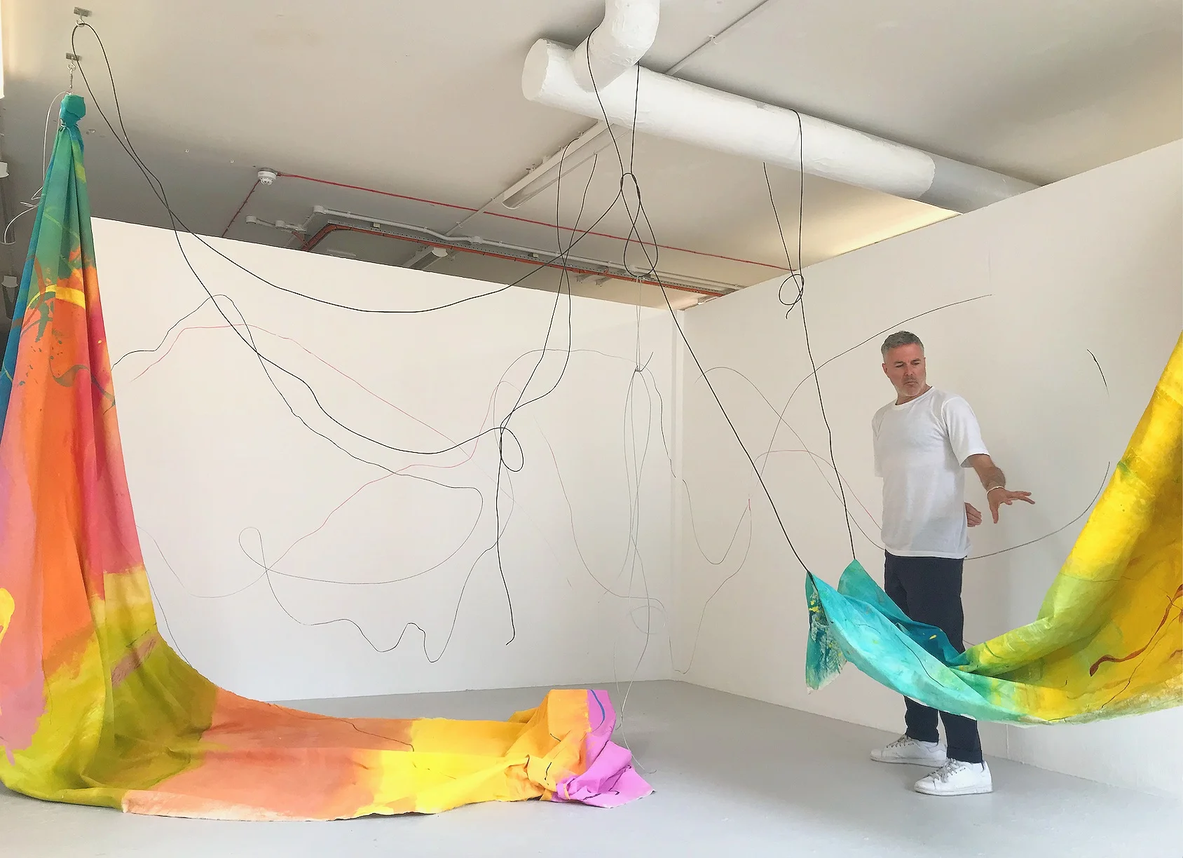 Beyond The Veil & The 4D Fantasy Acrylic on canvas x2, Ink & wires, MA Fine Art degree show, Chelsea College of Arts, London, 2019. *With artist Neil Tait All rights reserved to the artist.