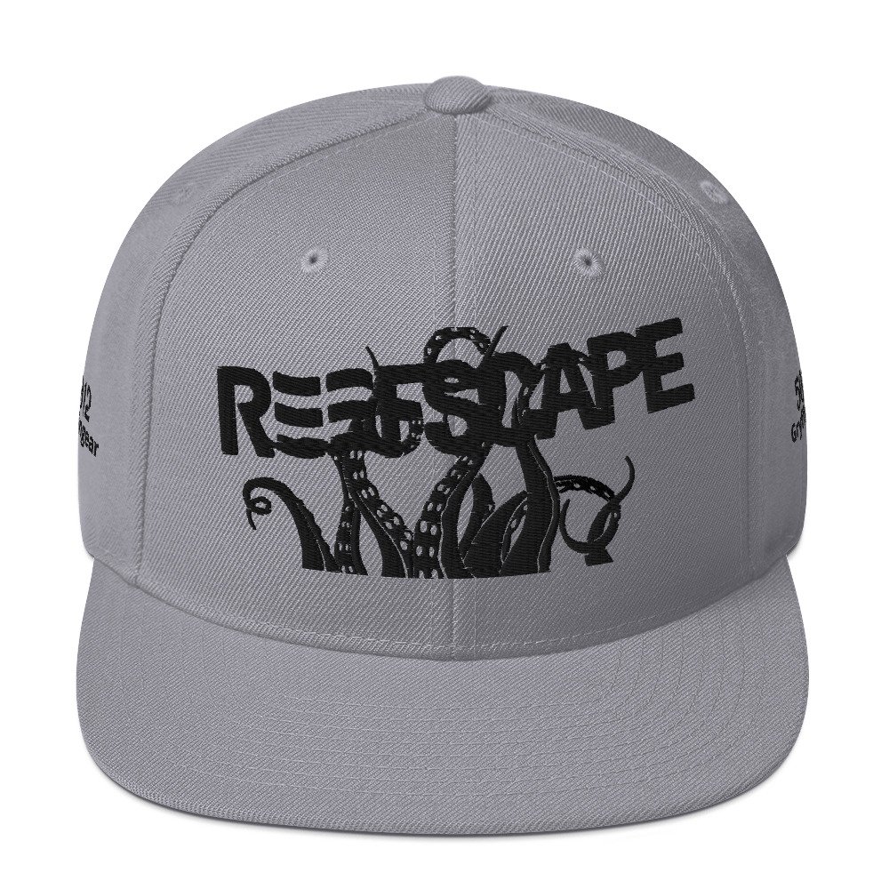 classic-snapback-silver-front-67bd0f49dfda9.jpg