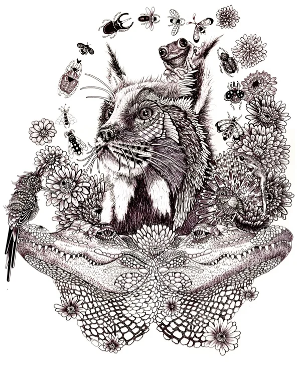 A Bobcat Goldbloom – Elizabeth MD Vuong, 2014