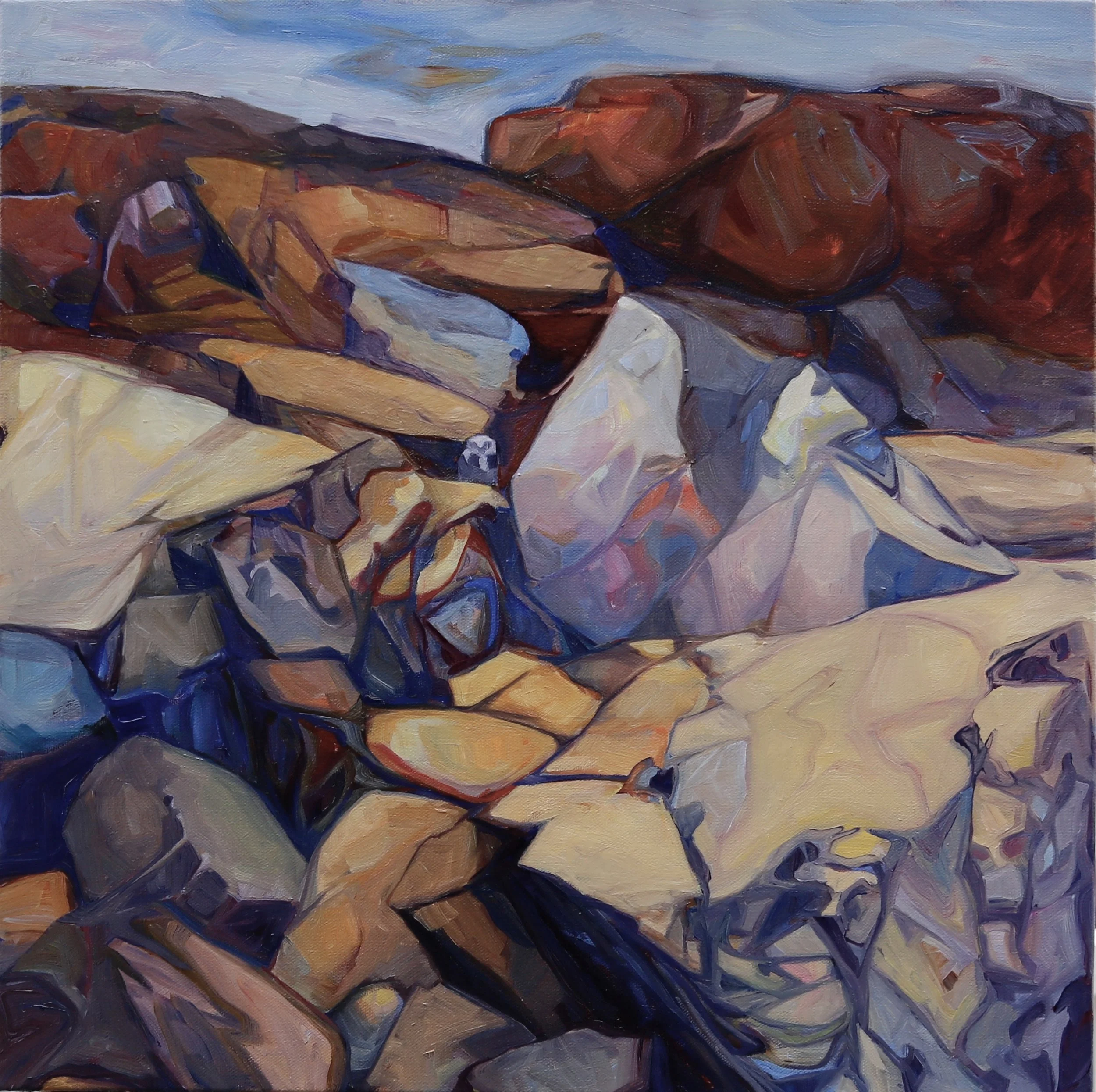 snowy owl - spirit in the rocks