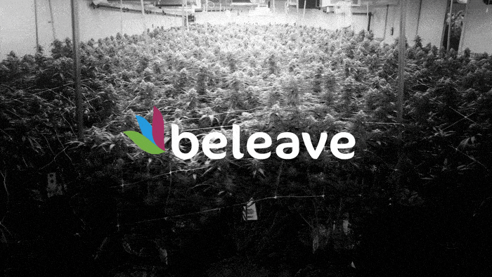 NikDudukovic_Beleave_03.gif
