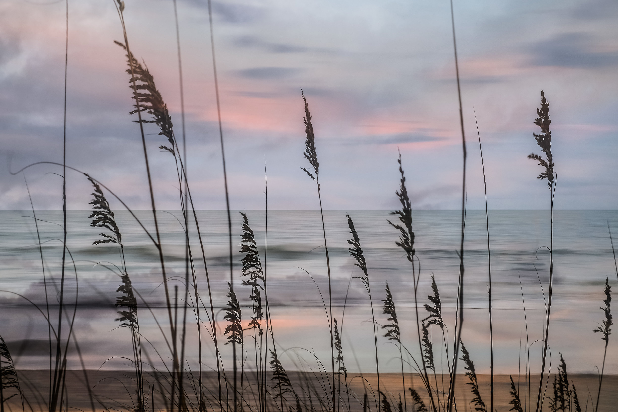 Grass and Sunset 2