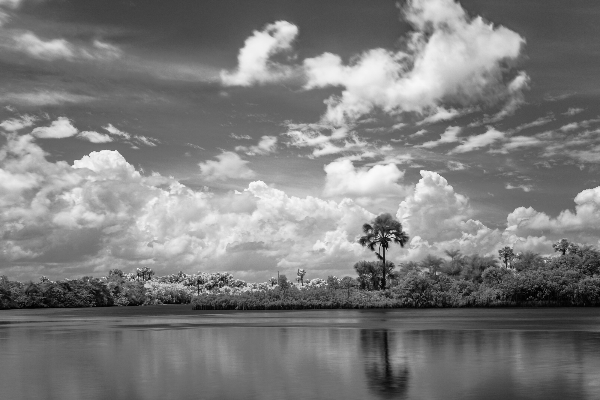 Scott_Myers_Brazil_Infrared-0944.jpg