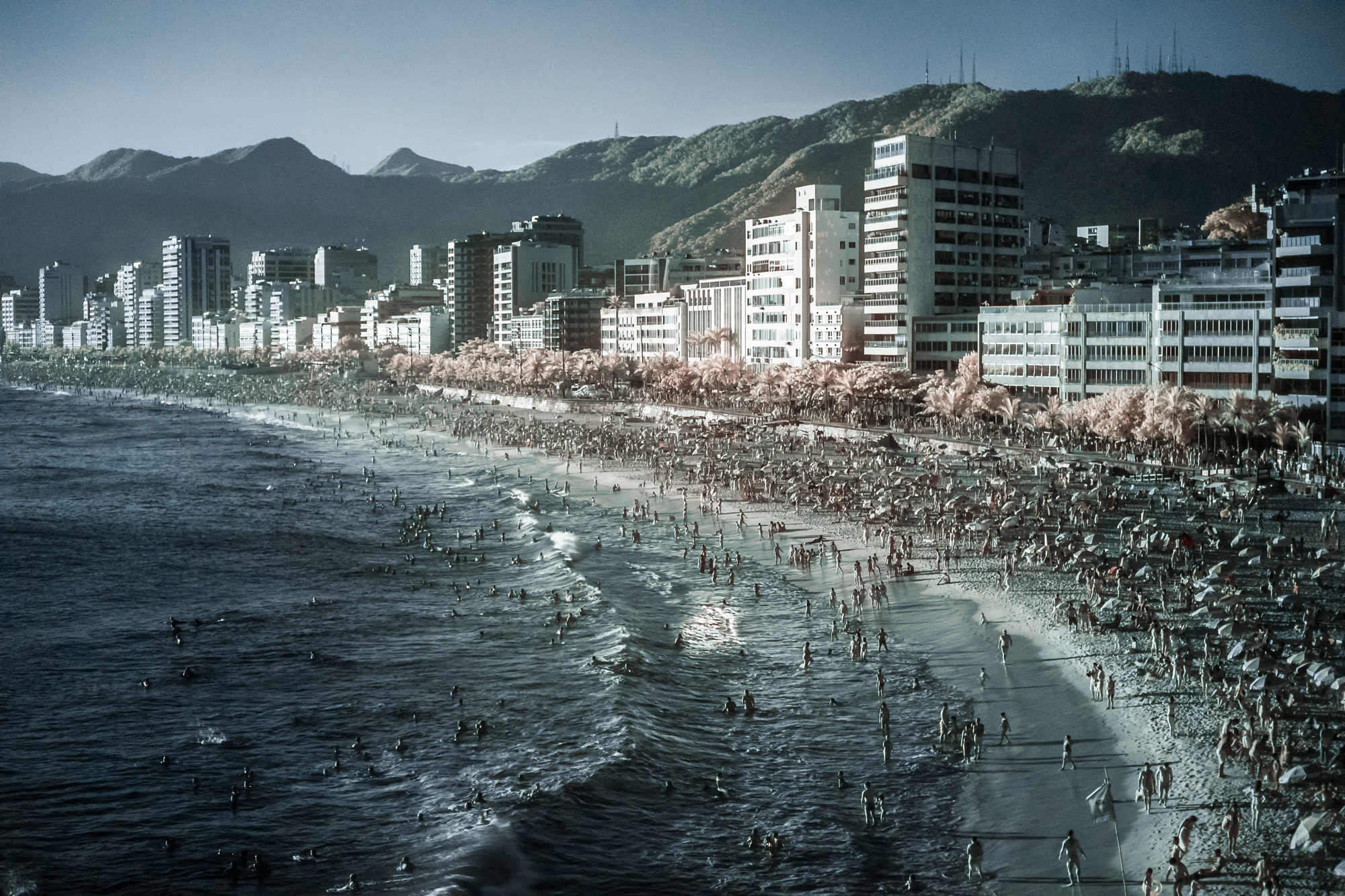 Scott_Myers_Brazil_Infrared--4.jpg