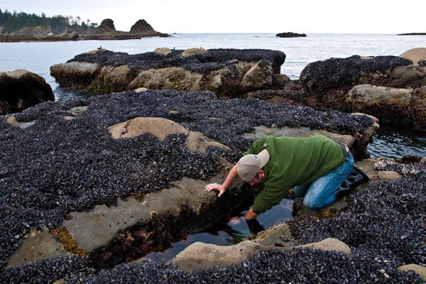 Matthew Knope, Lab Principal Investigator