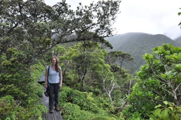 Erin Datlof, M.S. Botany, University of Hawaiʽi at Mānoa. Erin is a CREST molecular lab technician working with Jolene Sutton and myself. Erin is interested in Hawaiian community ecology, coevolution, and adaptive radiations. She is currently workin…