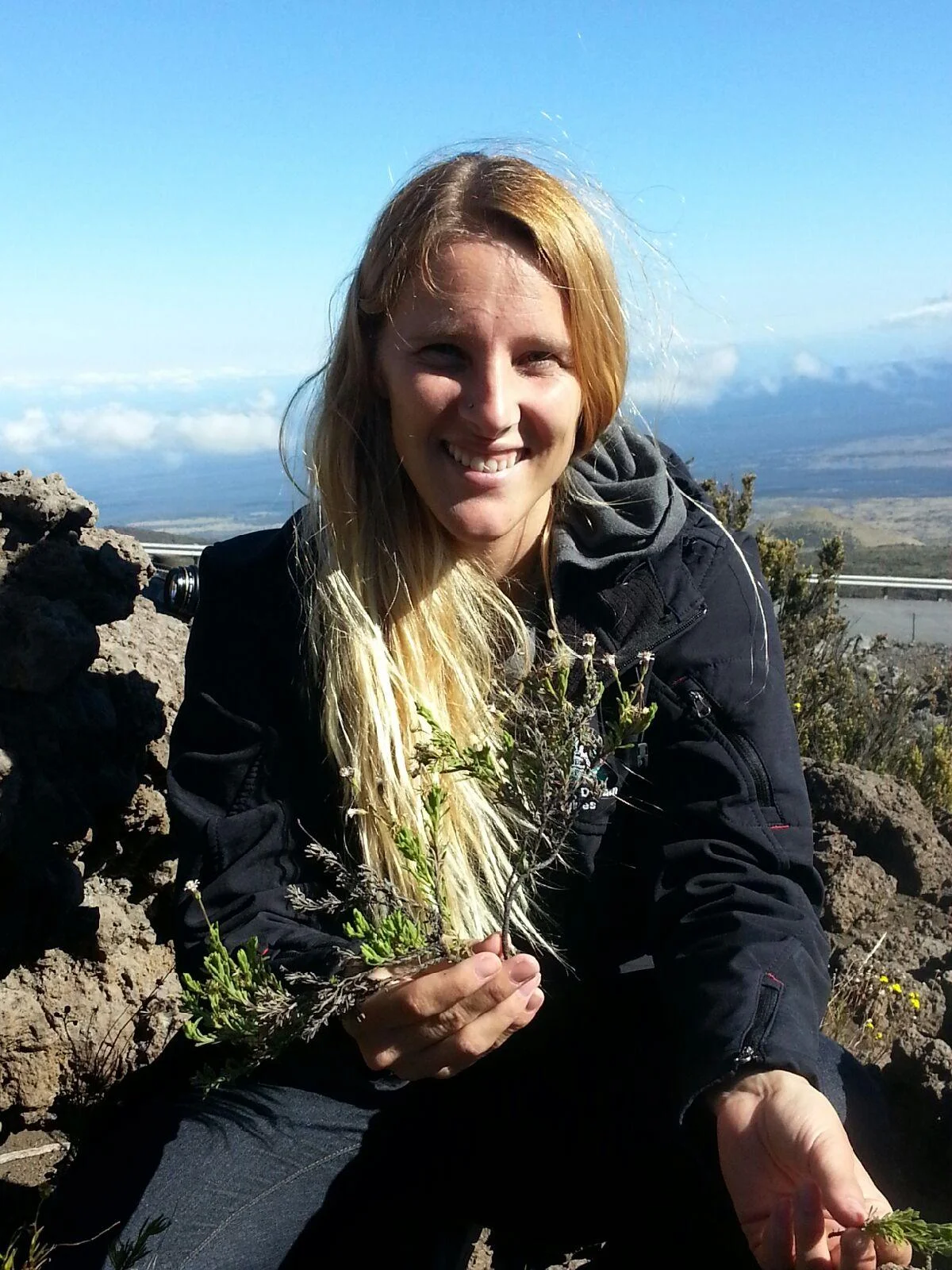 Advanced Tropical Island Ecology and Evolution student, Kayla Clarke, collecting at 12,000' on Mauna Kea. Photo: Jeff Stallman
