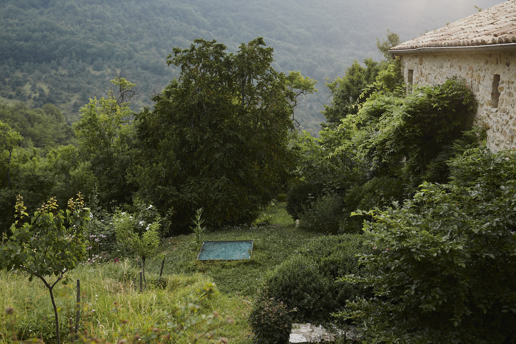 A Capteur in the garden in Drôme.