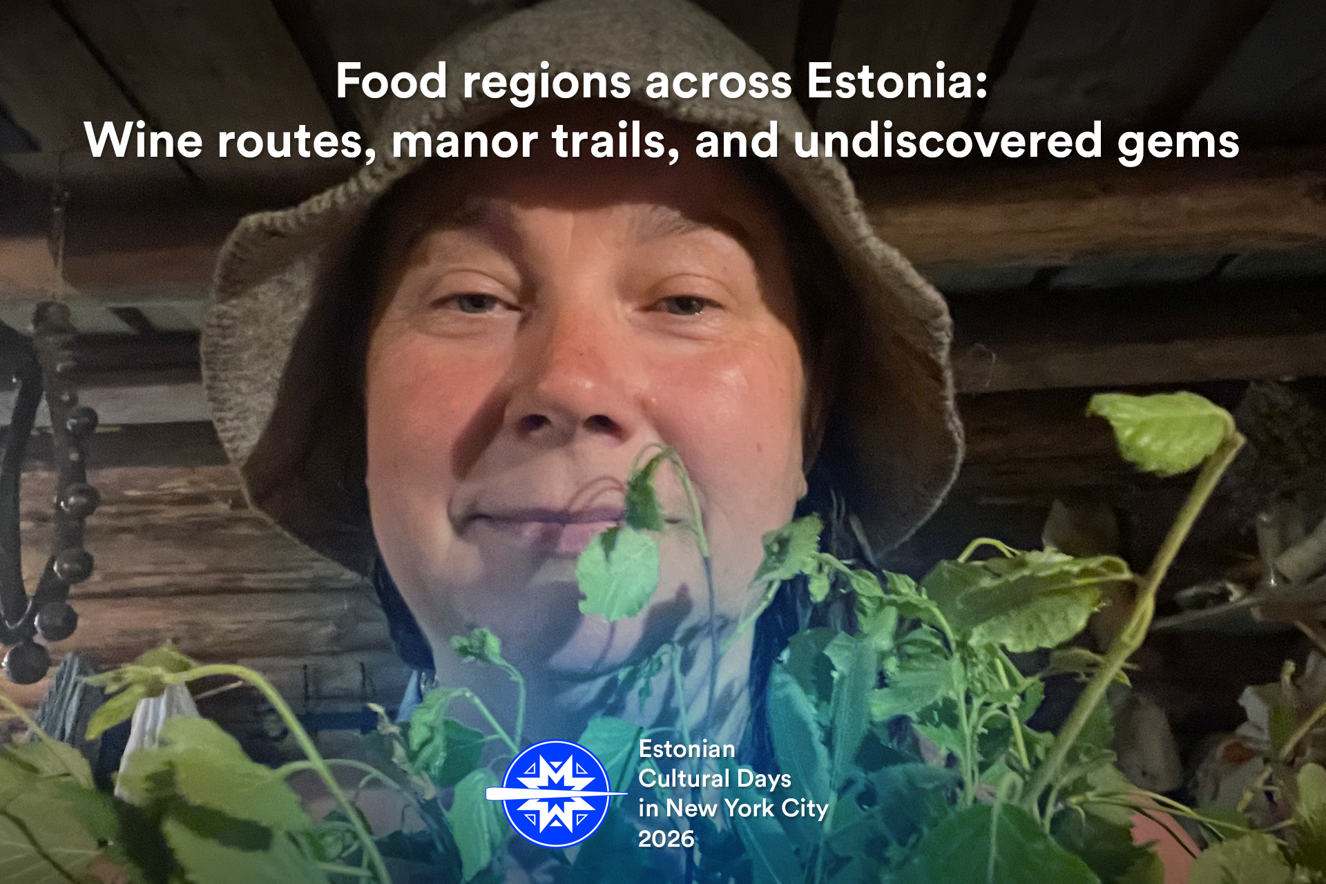 Food regions across Estonia: wine routes, manor trails, and undiscovered gems.