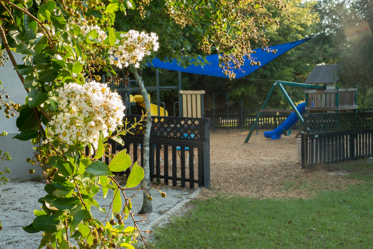 Donations and the proceeds from our fundraising events go toward a variety of projects, from improving our facilities to providing modern technology. 