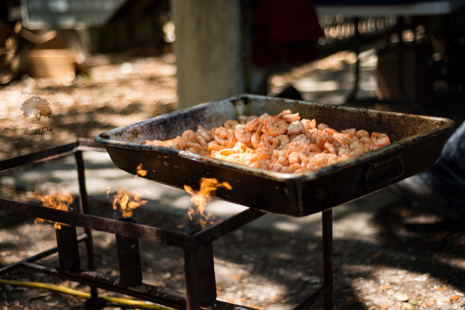 LowcountryShrimpSmallLogo0089.jpg