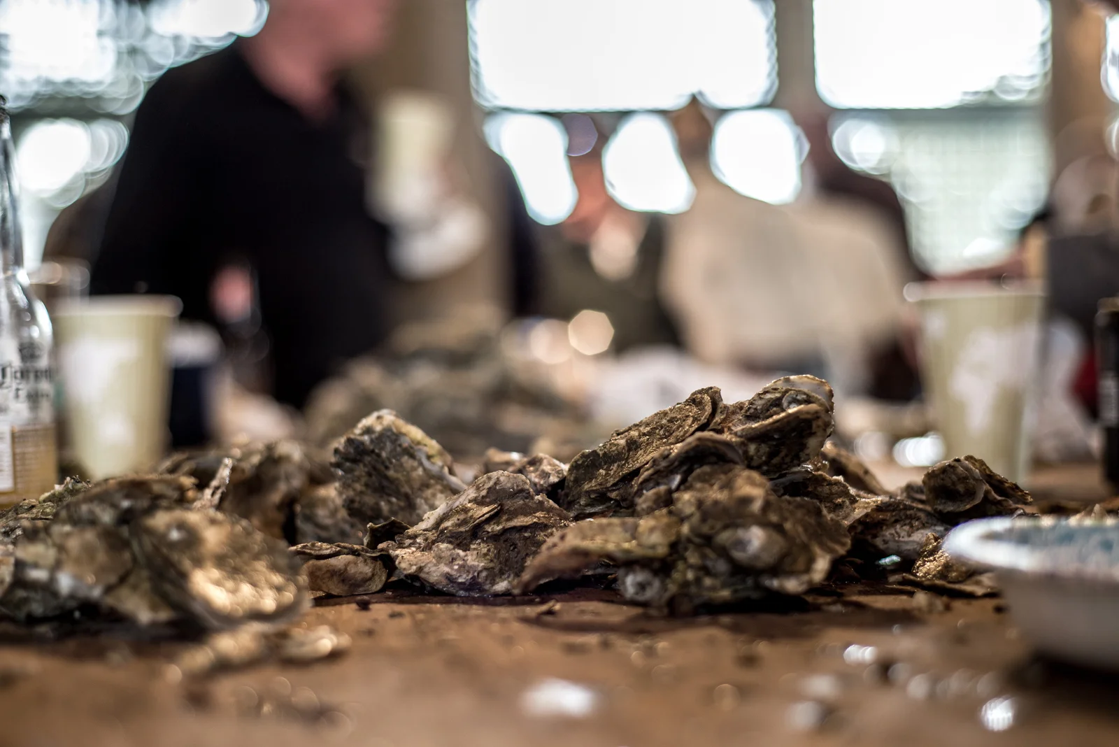 2019_CREECS_Oyster_Small05.jpg