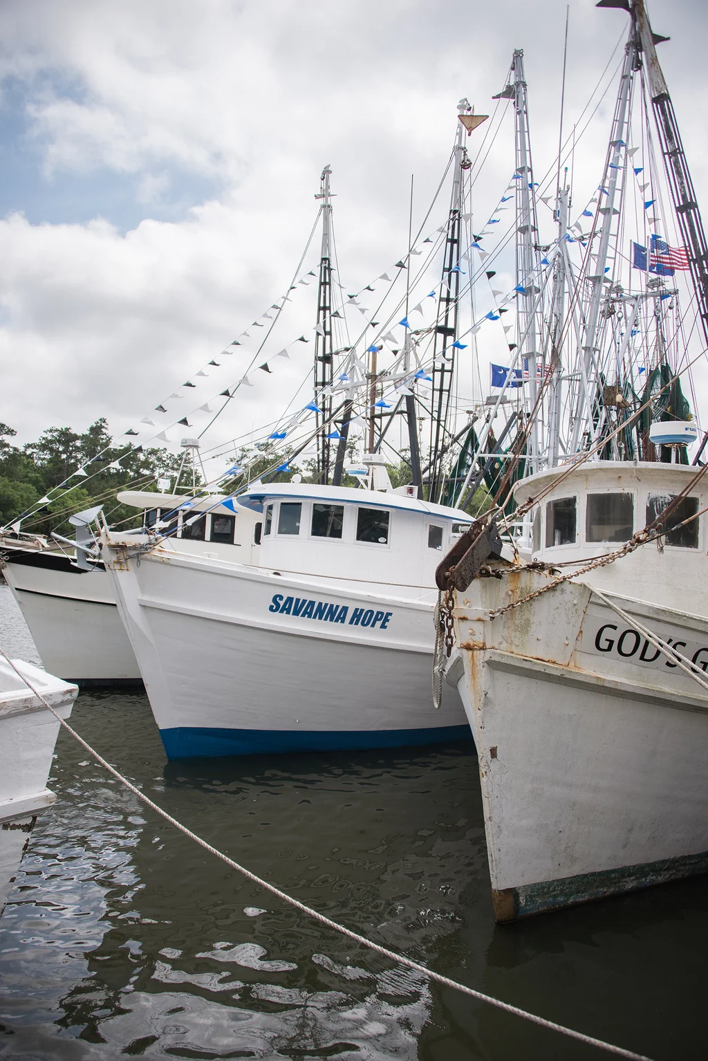 2019 Shrimp Small094.jpg