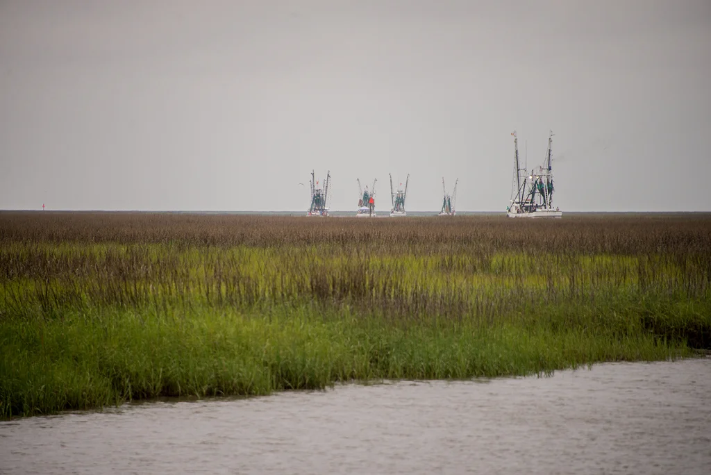2019 Shrimp Small110.jpg