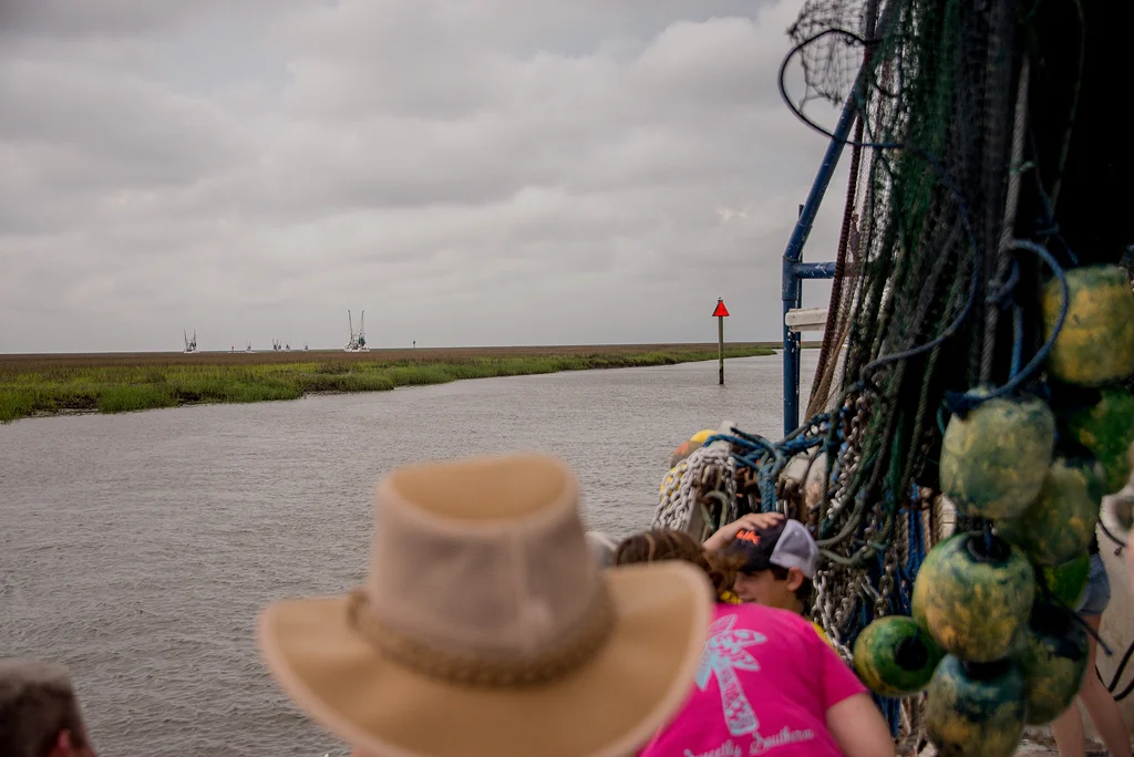 2019 Shrimp Small111.jpg