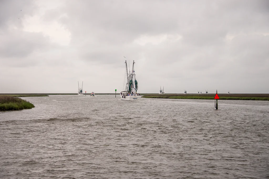 2019 Shrimp Small118.jpg