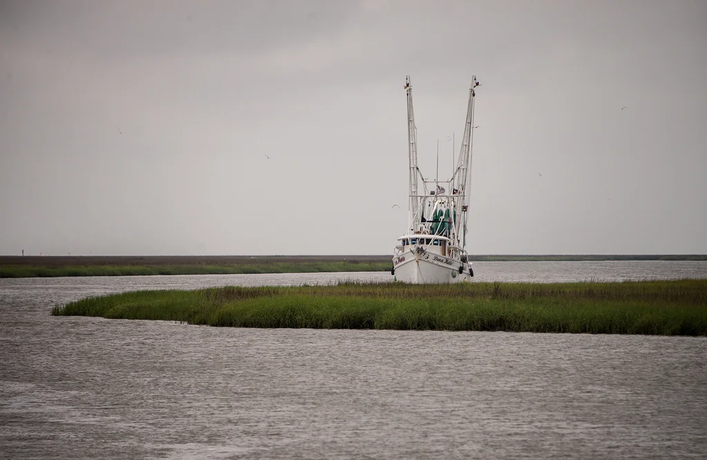 2019 Shrimp Small124.jpg