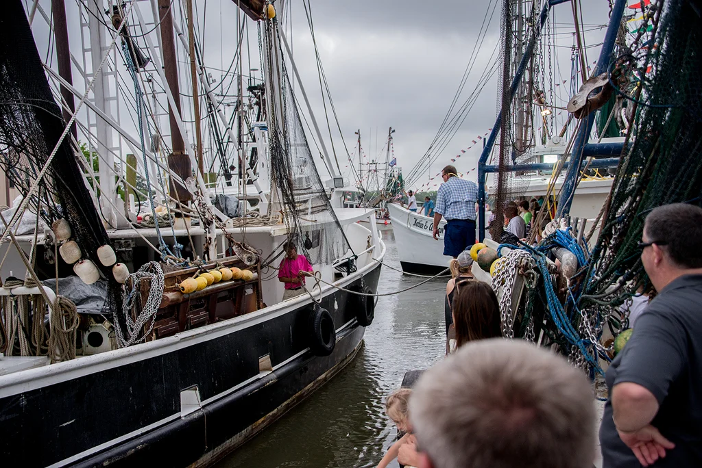 2019 Shrimp Small136.jpg