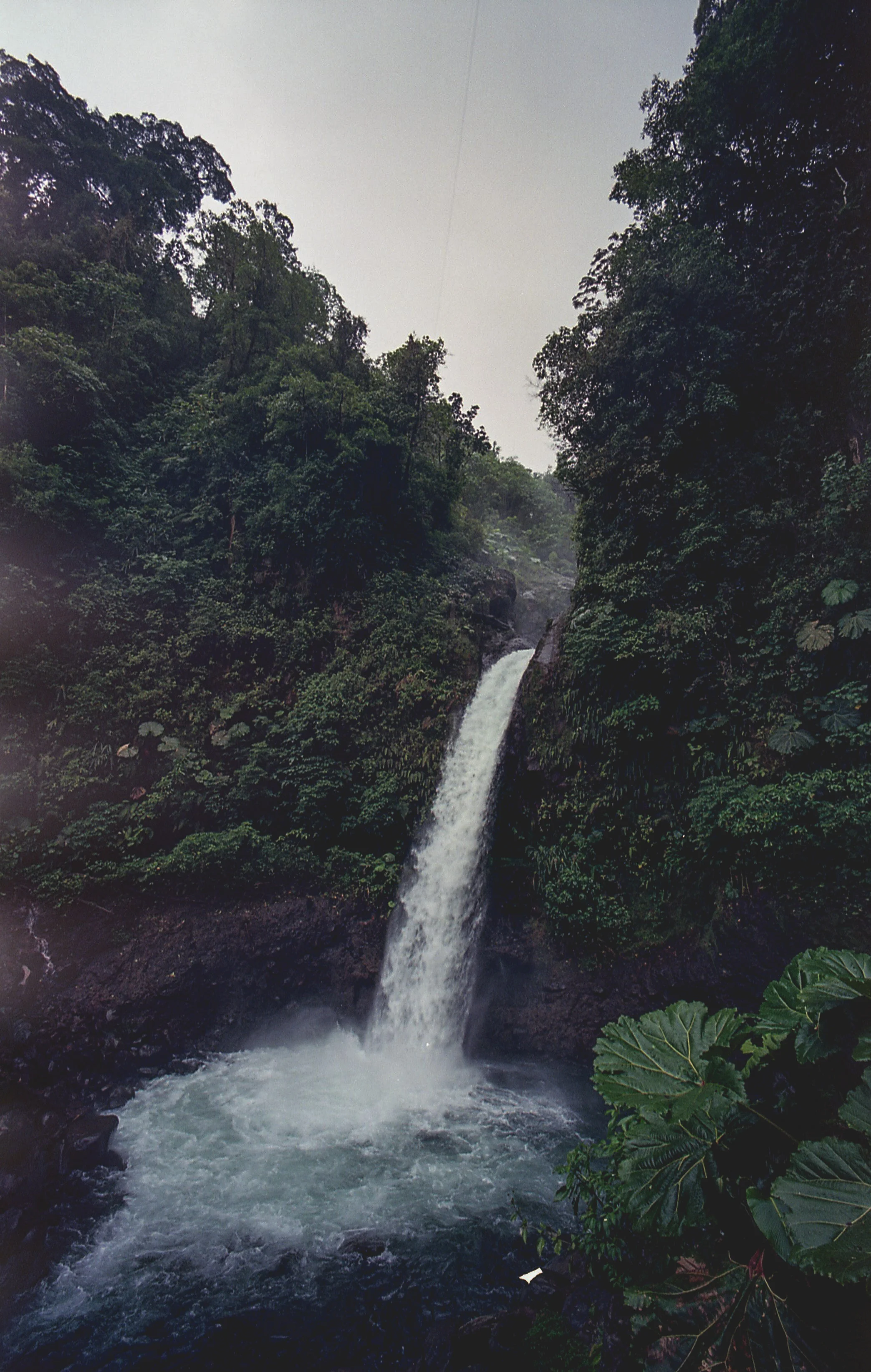 img125-2.jpg