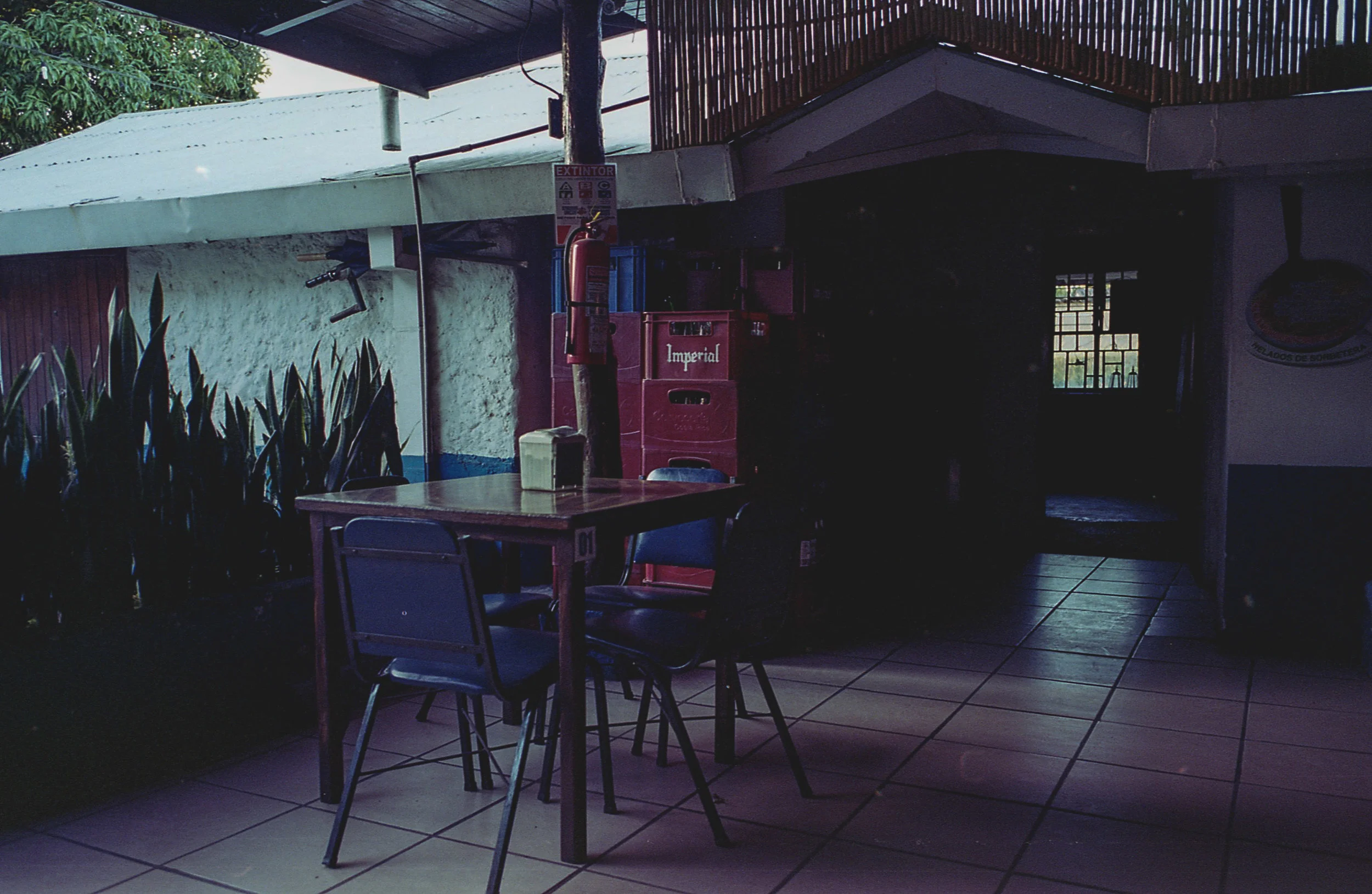 img167-2.jpg