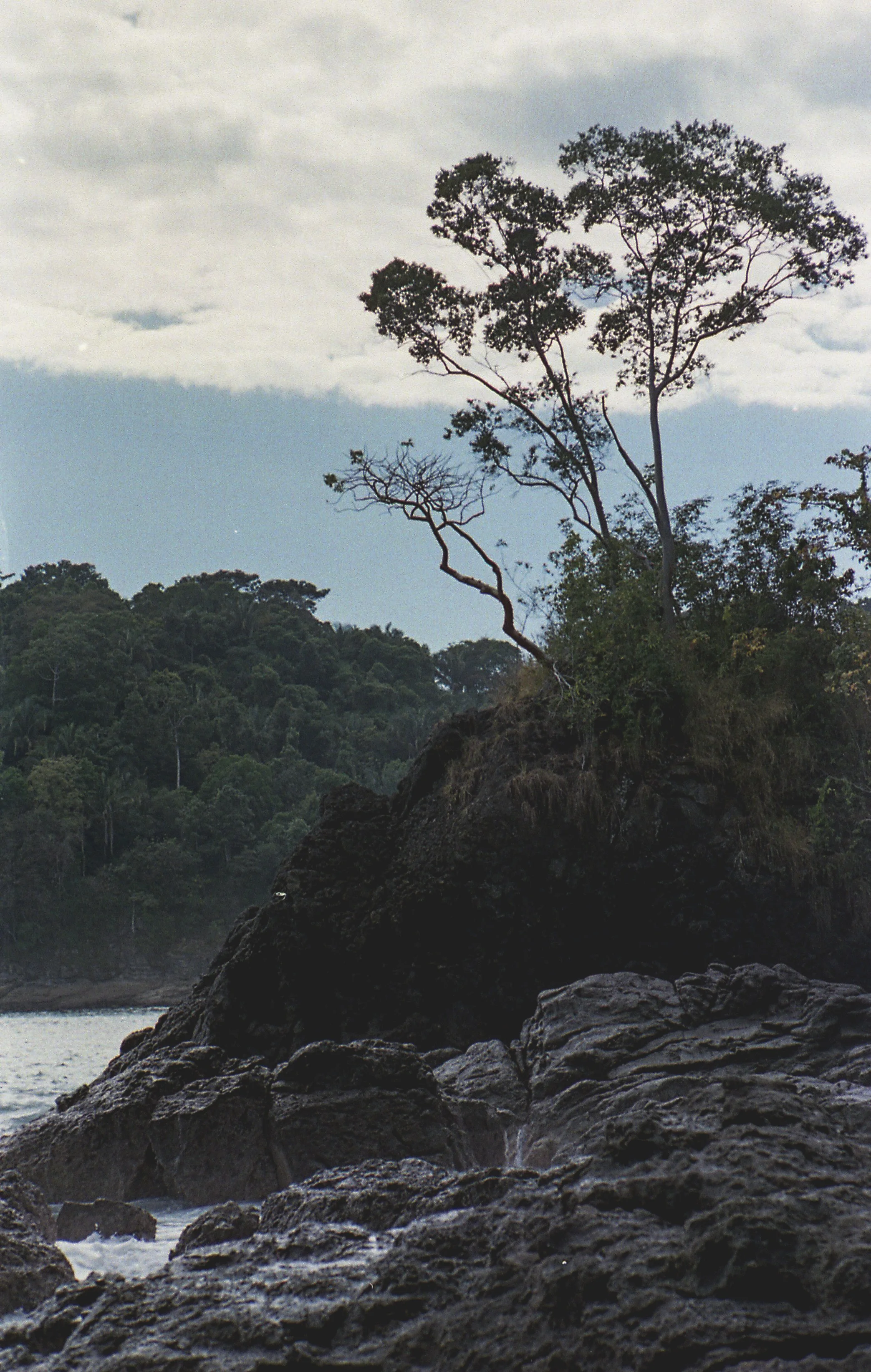 img237-2.jpg