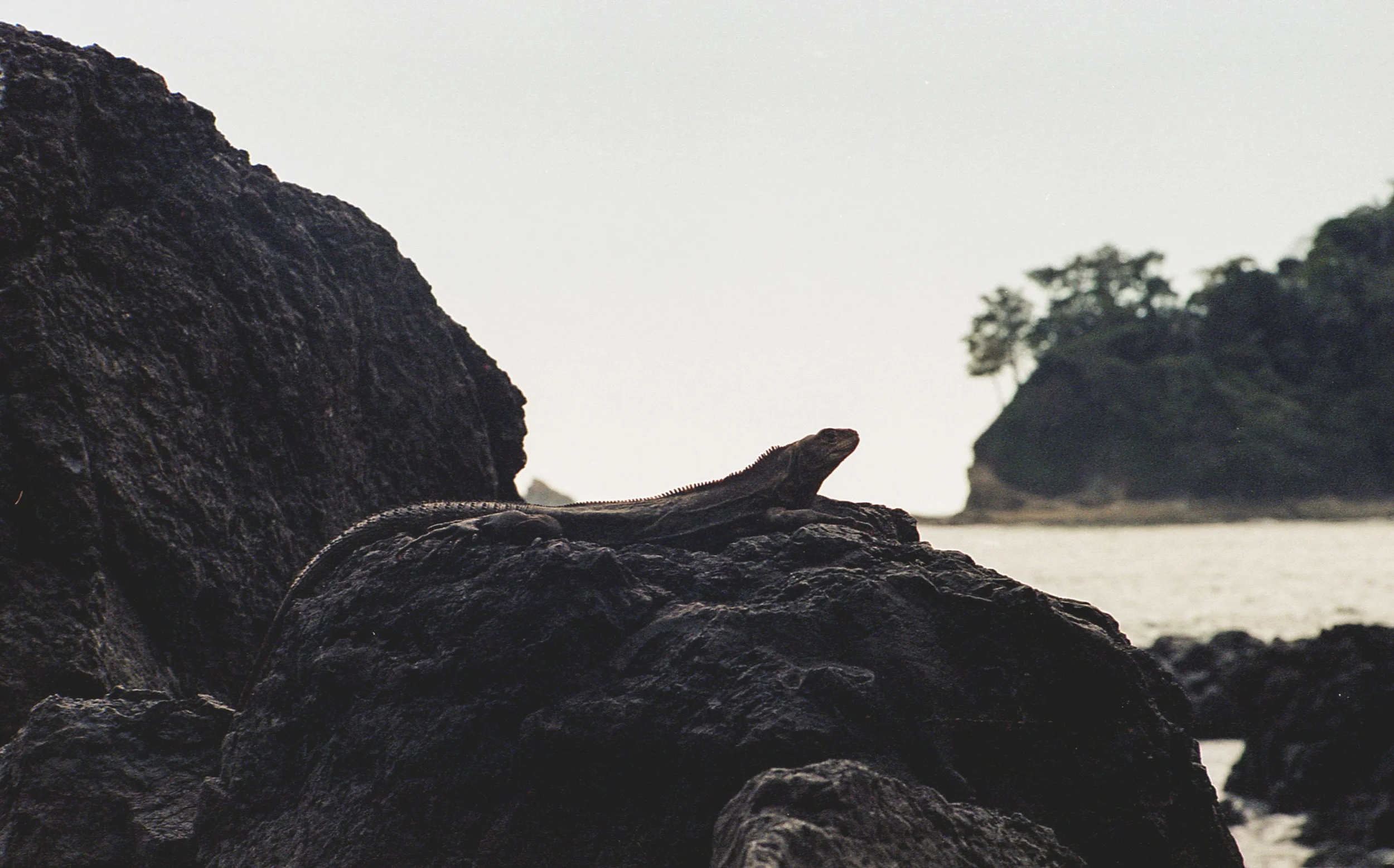 img233-2.jpg