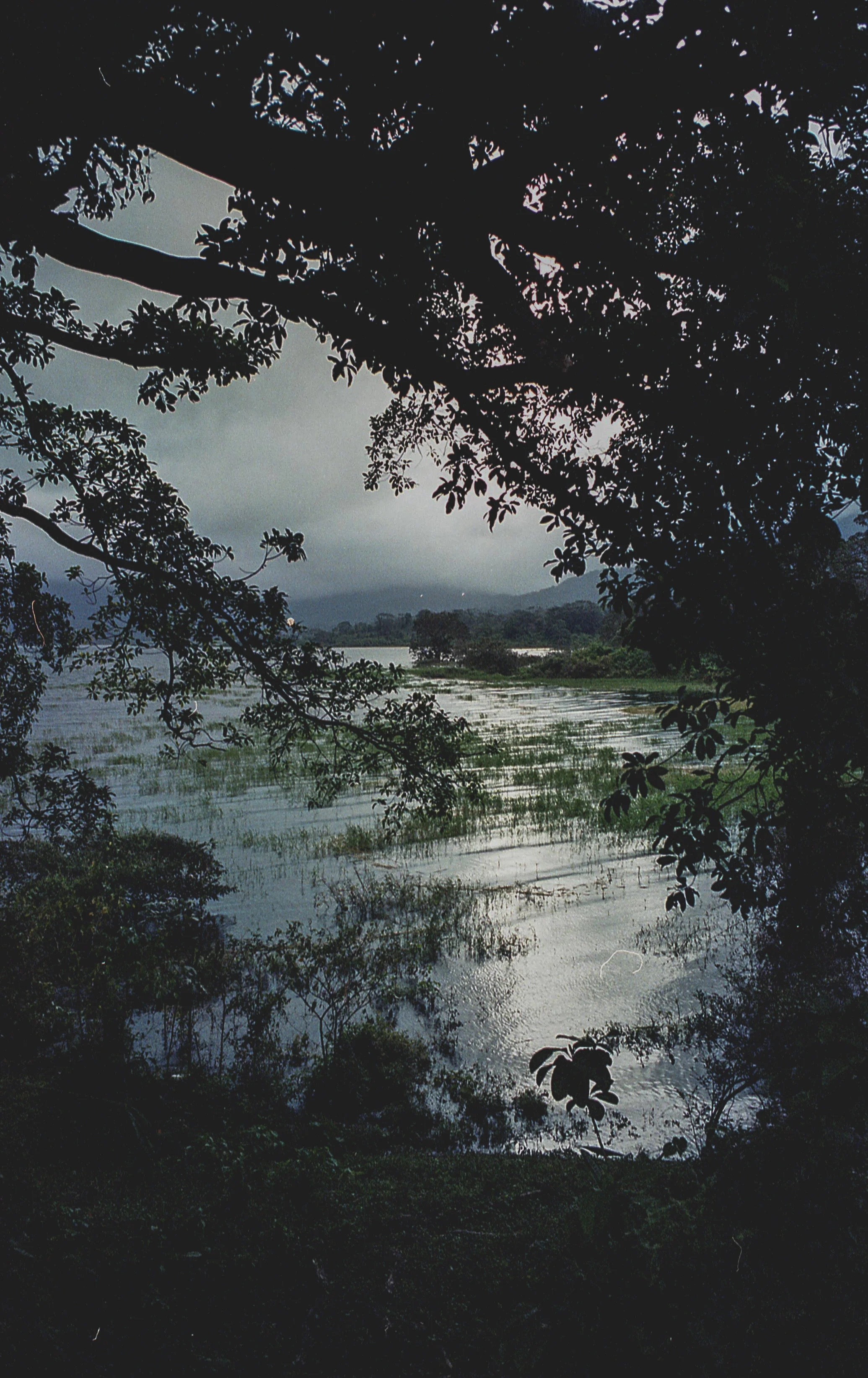 img265-2.jpg
