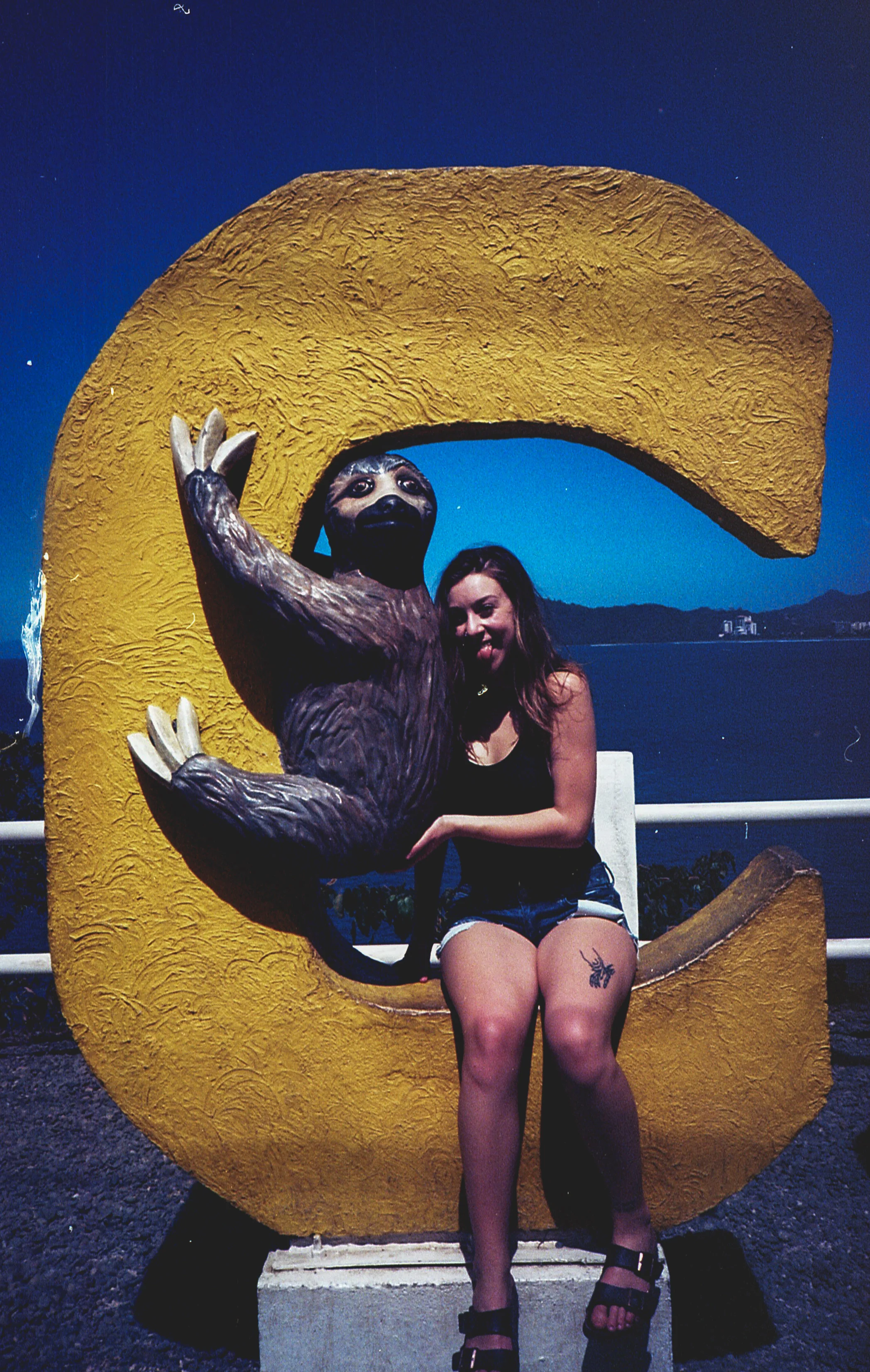 img314-2.jpg