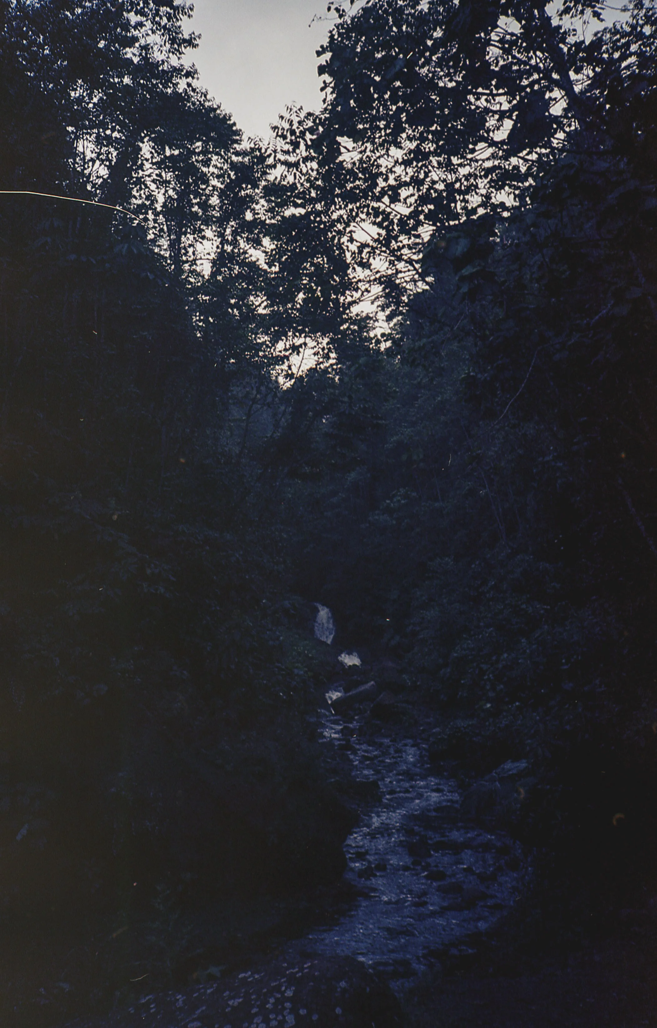 img331-12.jpg