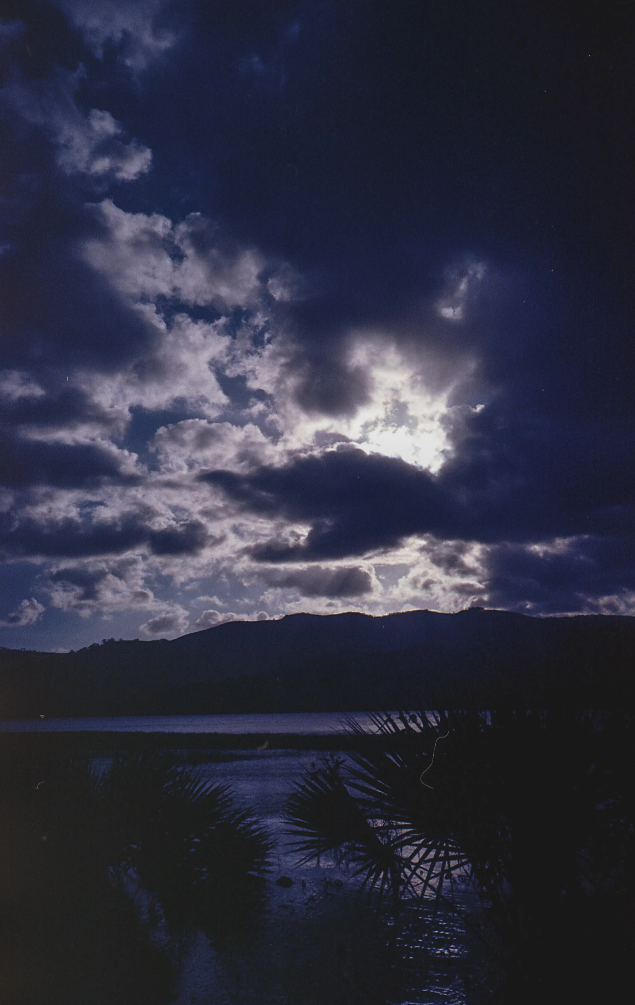 img344-2.jpg