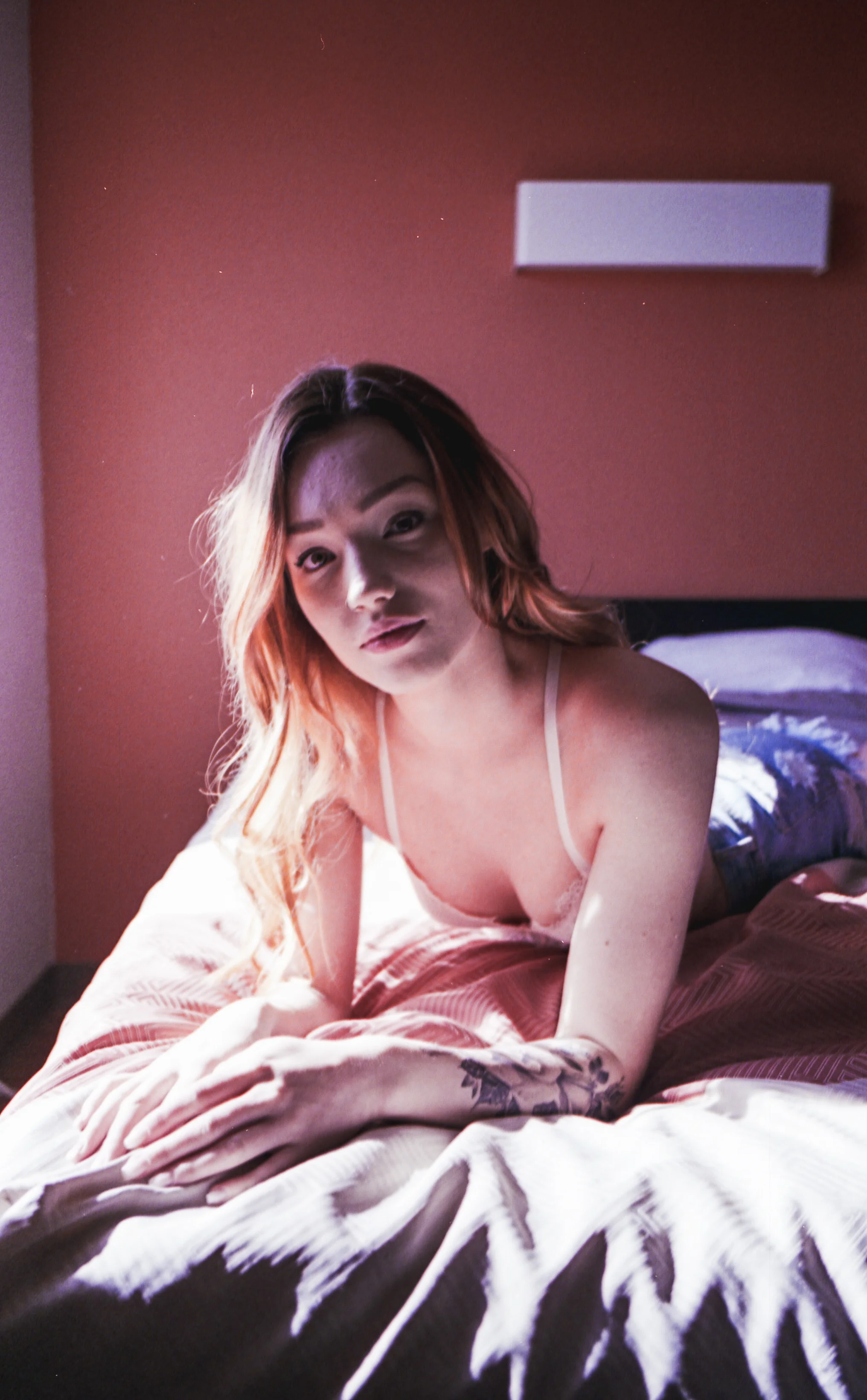 img805-2.jpg