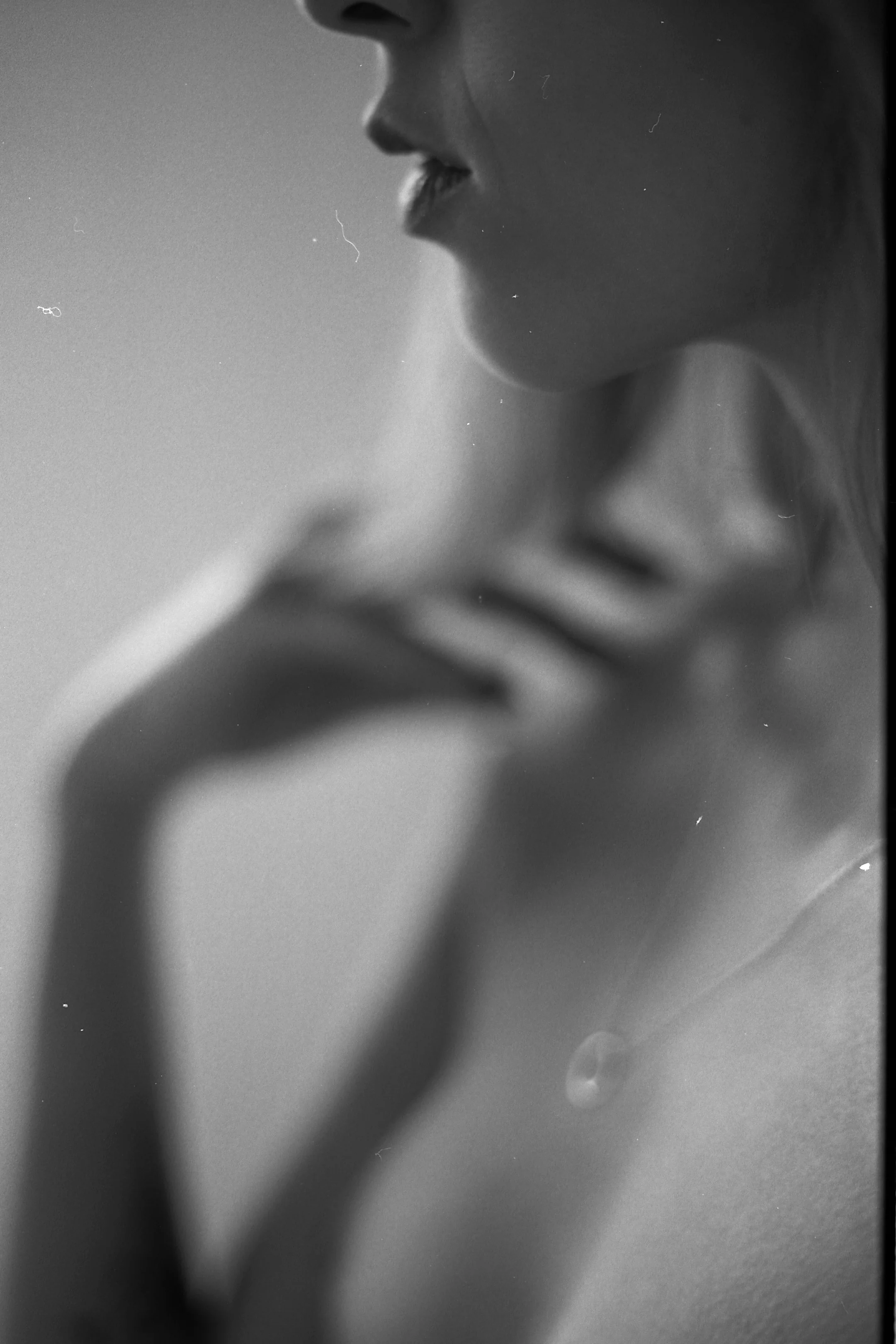 img279-2-2.jpg