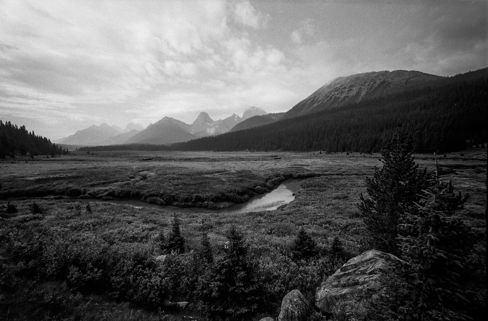 img399.jpg