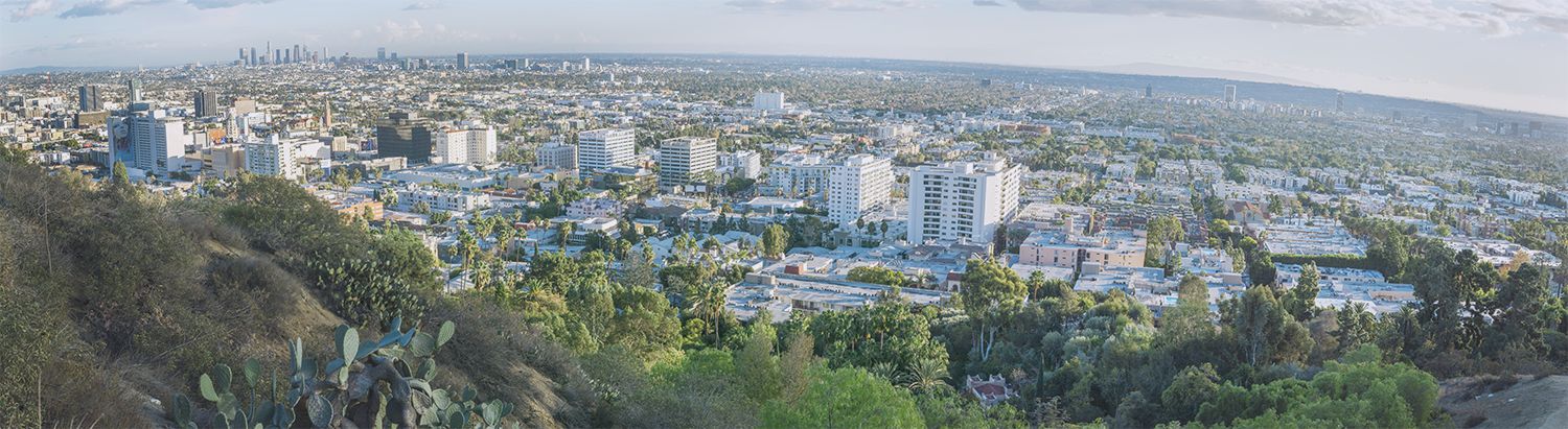 Hollywood Vista