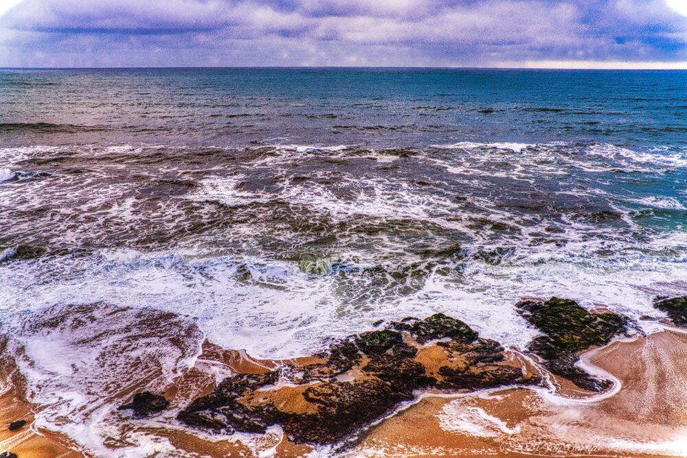 Monterey Bay Aquarium II