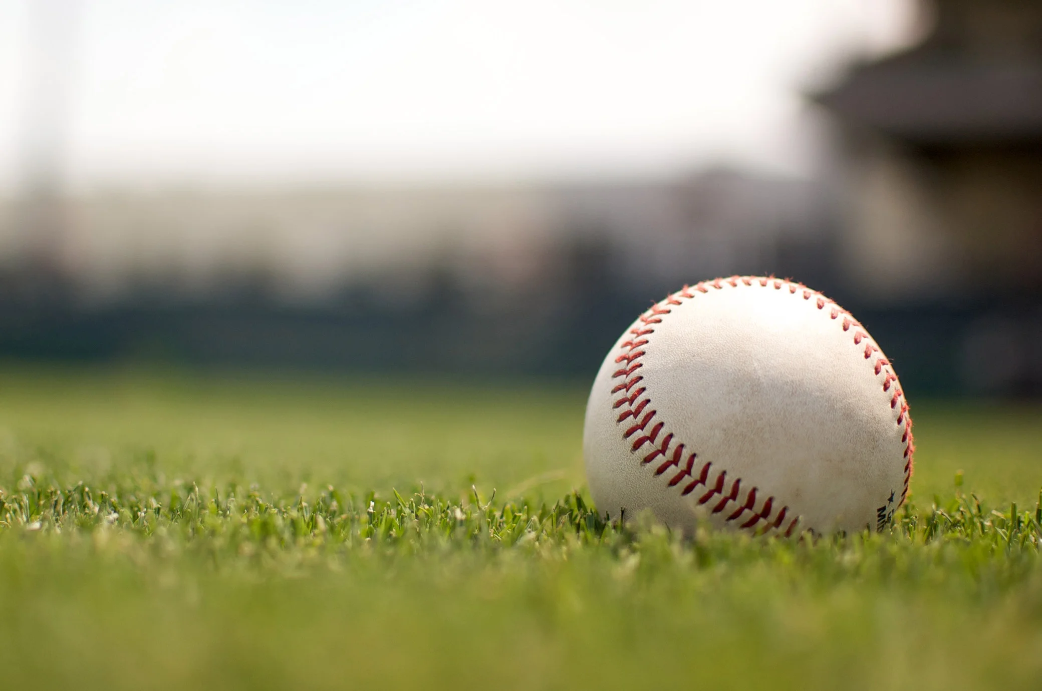 baseball on grass.jpg
