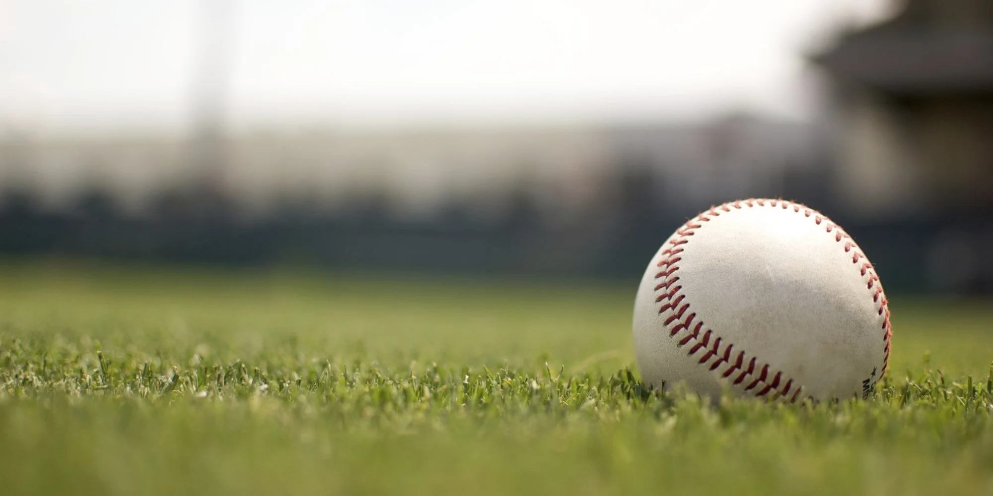 baseball on grass.jpg