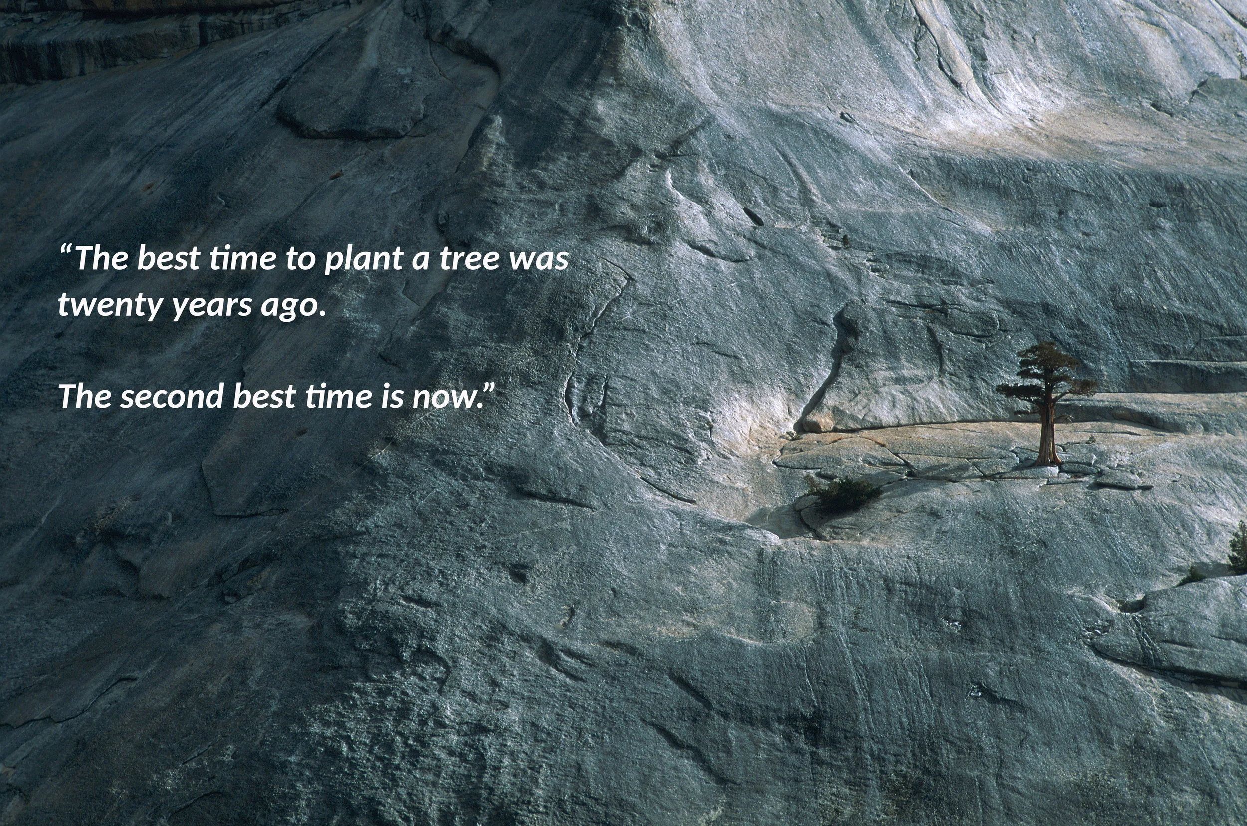 TheBestTimetoPlantaTree.jpg