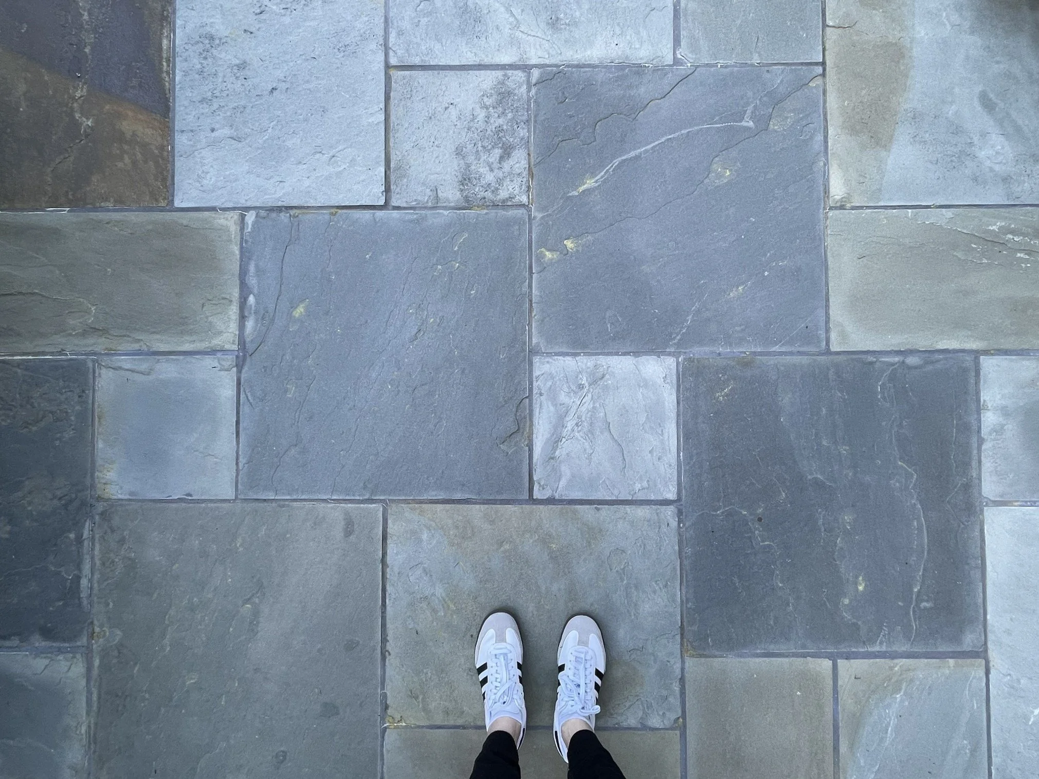  Landscape Design: Studio SF  Landscape Contractor: Palacios Landscape Construction  Land Surveyor: BGT Land Surveying 