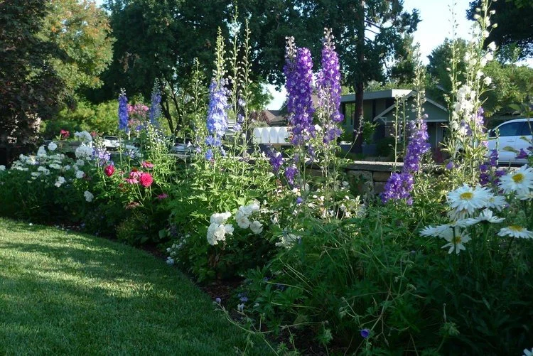  Landscape Design: Studio SF  Landscape Contractor: Lifescapes Custom Landscaping  Sculpture artist: Kaiser Suidan  Photographer: Macario Giraldo 