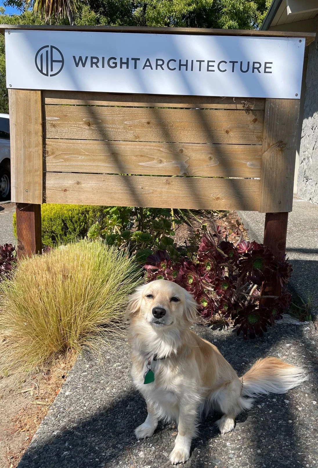  Architect:  Wright Architecture   Landscape Design:  Studio SF   Irrigation Designer:   RMA Irrigation  