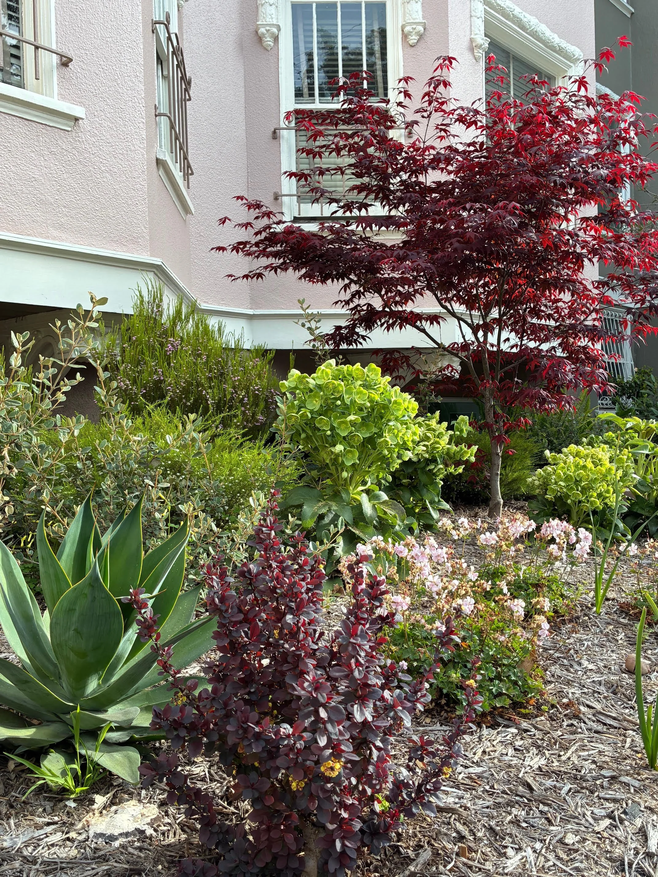  General Contractor:  Blackline Construction   Architect:  Openscope   Landscape Contractor:   Frank &amp; Grossman   Owner &amp; Project Management:    San Francisco Community Land Trust  