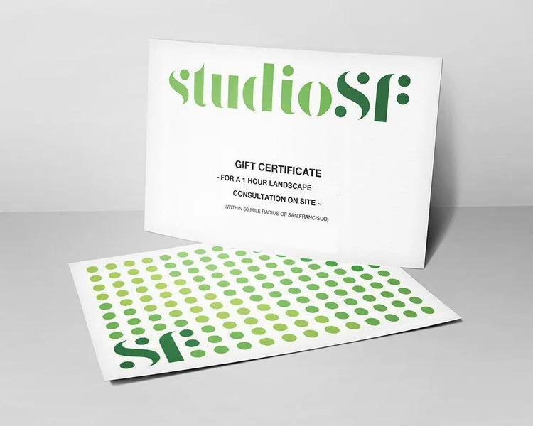 2025+Gift+Certificate++Studio+SF.jpg