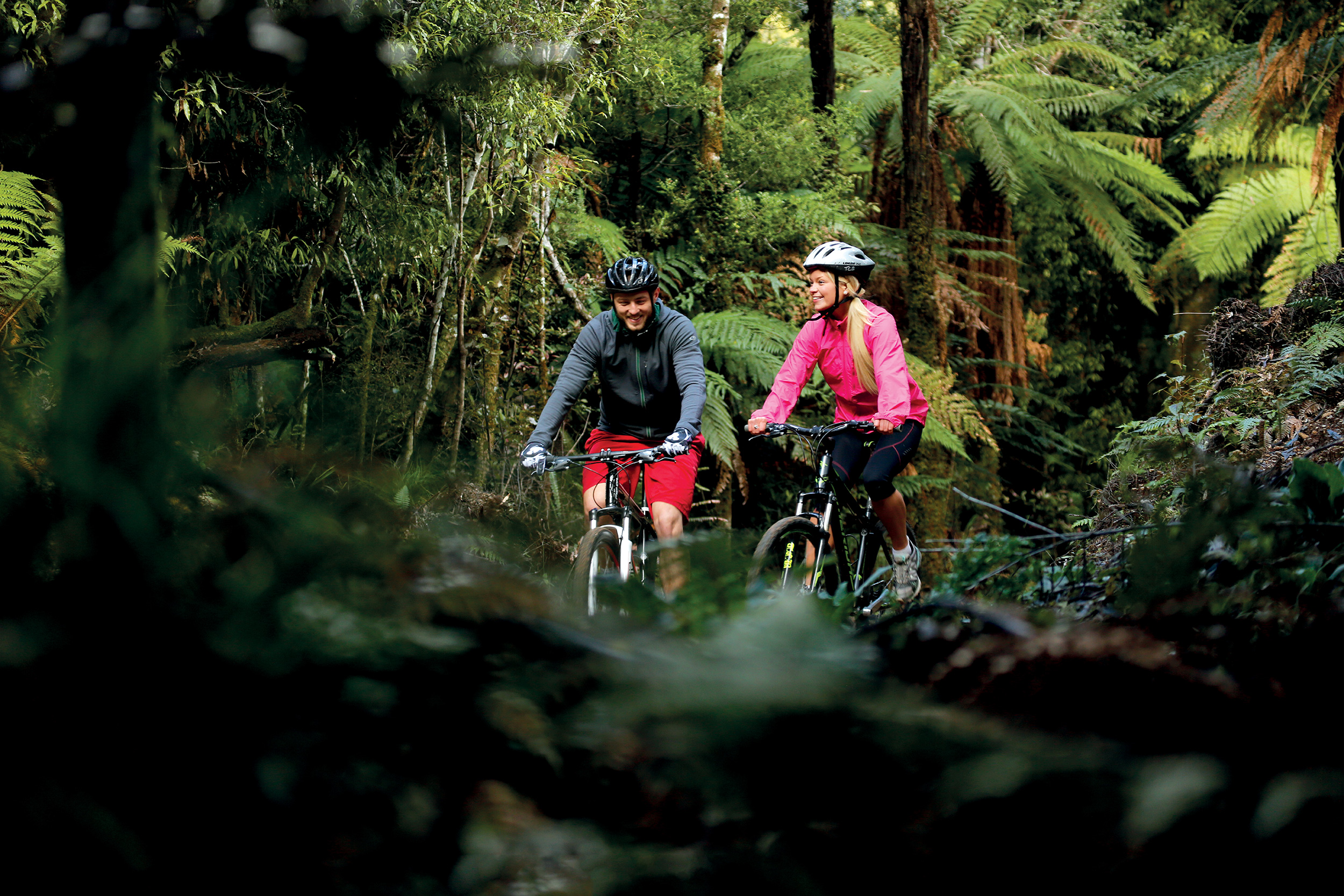 bikebush.jpg