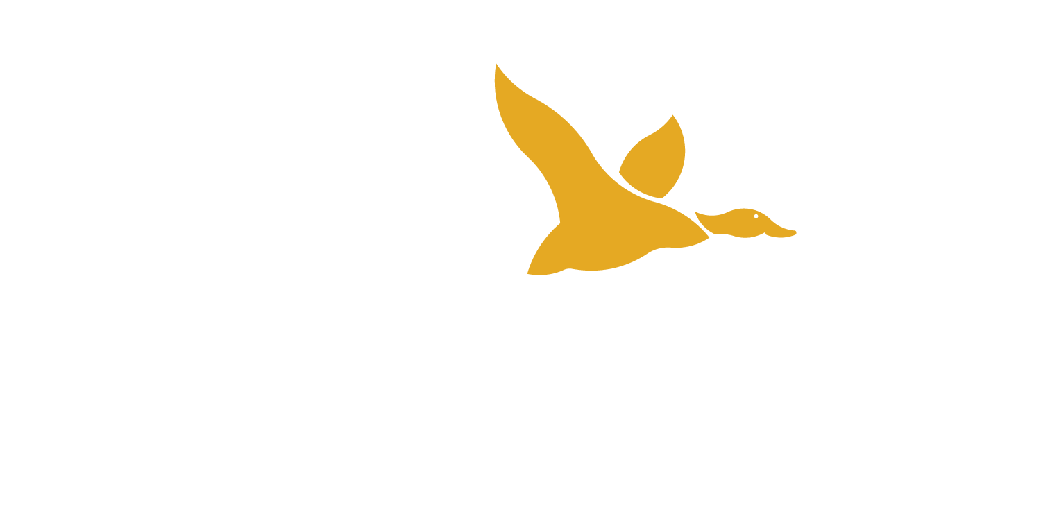 LUCKY DUCK RACING